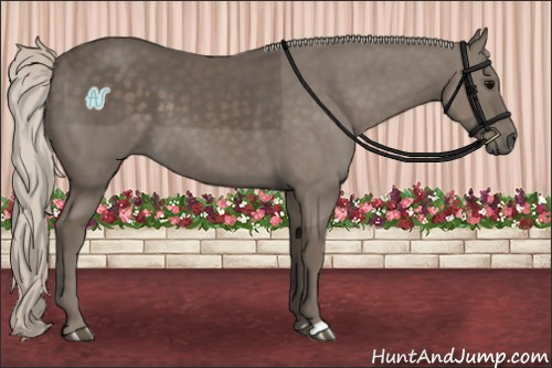 Horse Color:Silver Black 