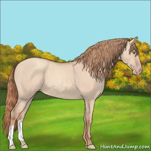 Horse Color:Gold Champagne Dun