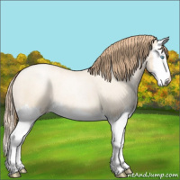 Horse Color:Gold Champagne Roan Pearl Dun Splash 