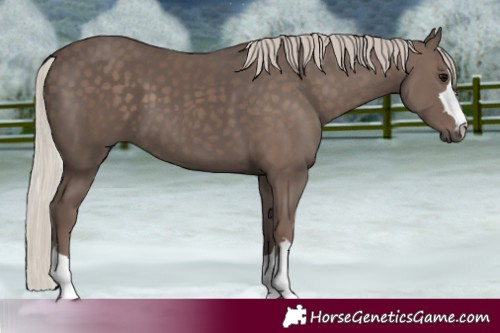 Horse Color:Silver Black 