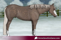 Horse Color:Silver Black 