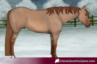 Horse Color:Red Dun 