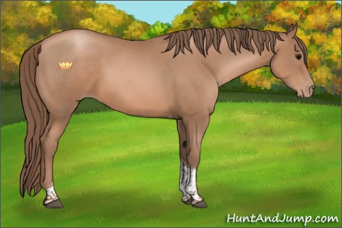 Horse Color:Black Pearl Tobiano 