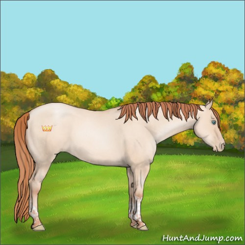 Horse Color:Sable Champagne Pearl Dun Tobiano Rabicano 