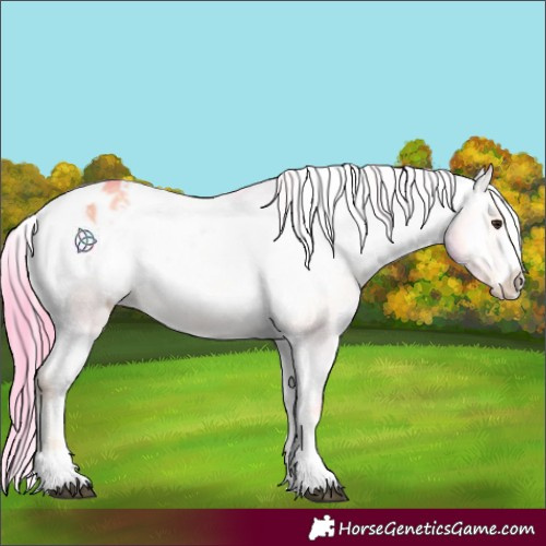 Horse Color:Watercolor Liver Red Onyx Sabino Appaloosa 