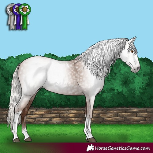 Horse Color:Gray Silver Black Pearl Tobiano 
