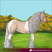 Horse Color:Silver Bay Dun Tobiano 