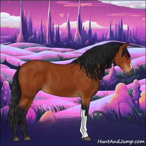 Horse Color:Gray Bay 