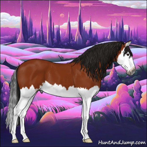 Horse Color:Gray Bay Splash 