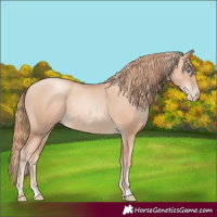 Horse Color:Gold Champagne Pearl Rabicano  and Gold Champagne Pearl Rabicano 