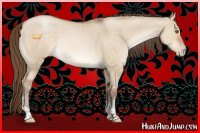 Horse Color:Brown Pearl Dun Tobiano 