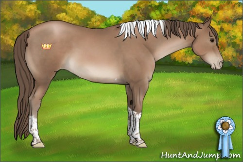 Horse Color:Black Pearl Sabino Tobiano 