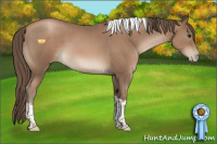 Horse Color:Black Pearl Sabino Tobiano