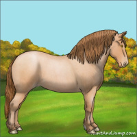 Horse Color:Bay Roan Pearl 