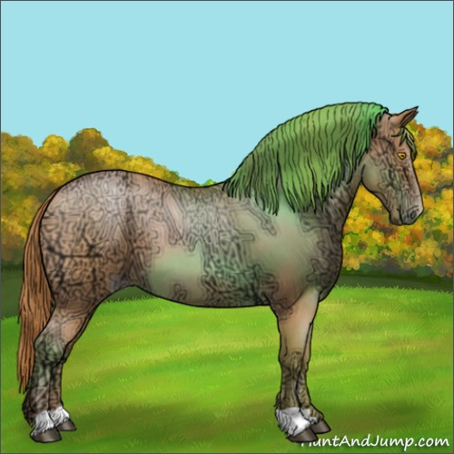 Horse Color:Bay Ice Roan Pearl 