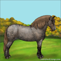 Horse Color:Blue Ice Roan Pearl 