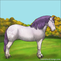 Horse Color:Buckskin Ice Roan Pearl 