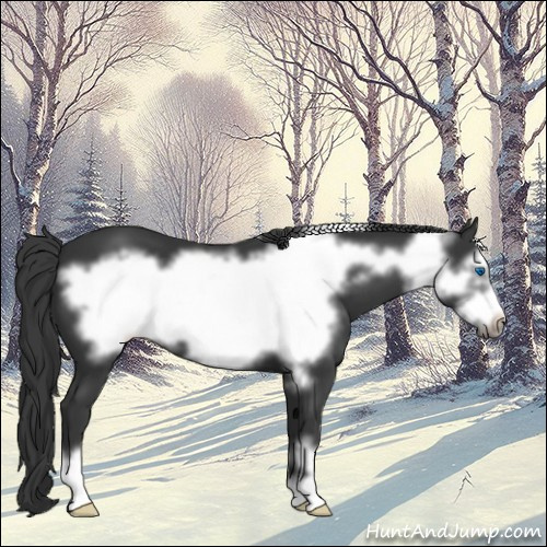 Horse Color:Black Frame 