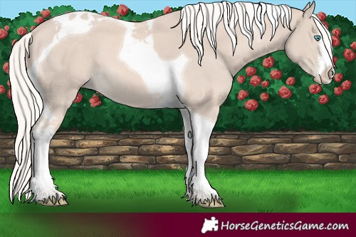 Horse Color:White Spotted Cremello Mushroom Tobiano
