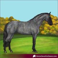 Horse Color:Midnight Blue Ice Roan 