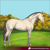 Horse Color:Amber Cream Champagne 