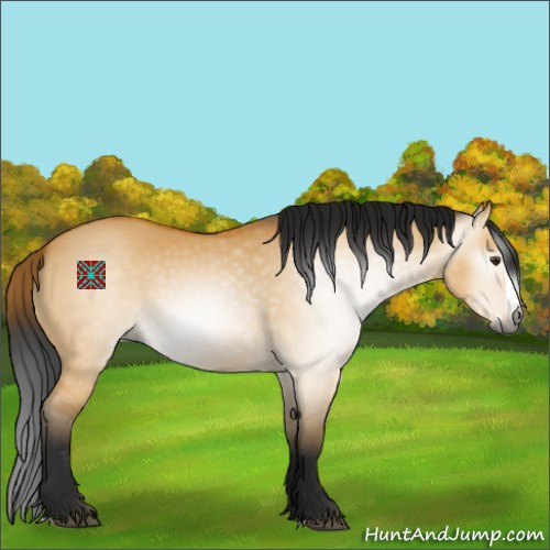 Horse Color:Gray Buckskin Dun Splash 