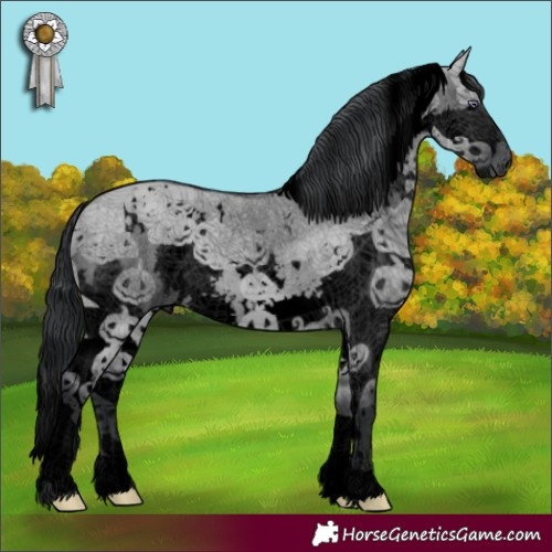 Horse Color:Void White Spotted Grullo Chinchilla Splash