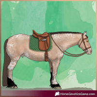 Horse Color:Amber Champagne Ice Tobiano 