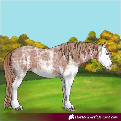 Horse Color:White Spotted Chestnut Ice Splash 