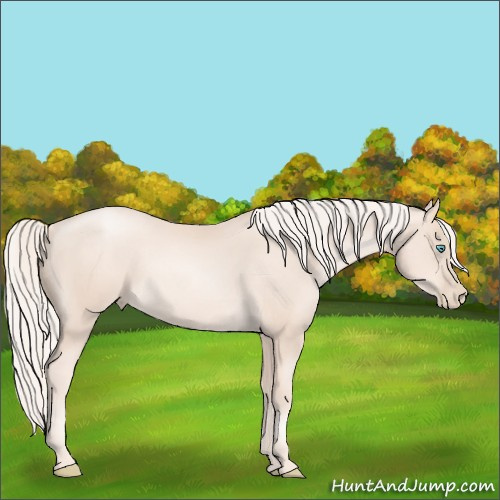 Horse Color:Gold Cream Champagne Pearl 