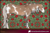 Horse Color:White Spotted Silver Brown Dun Sabino 