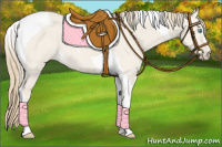 Horse Color:Smoky Creme Dun Tobiano 