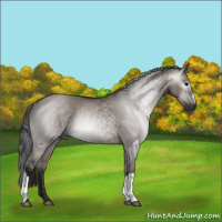 Horse Color:Gray Grullo Rabicano