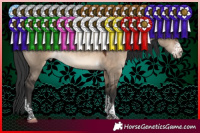 Horse Color:Brown Dun Sabino Tobiano 