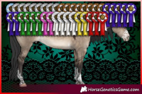 Horse Color:Brown Dun Sabino Tobiano 