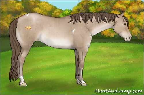 Horse Color:Grullo Pearl Sabino Tobiano Brindle