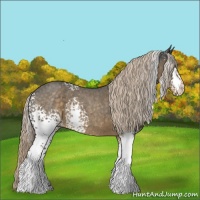 Horse Color:White Spotted Chocolate Palomino Roan 