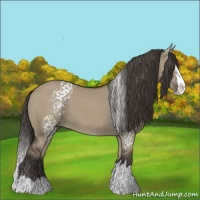 Horse Color:White Spotted Smoky Grullo Splash 