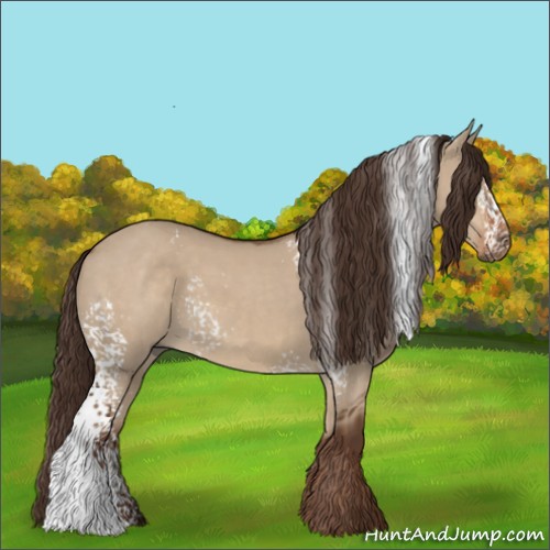 Horse Color:White Spotted Liver Red Dun 