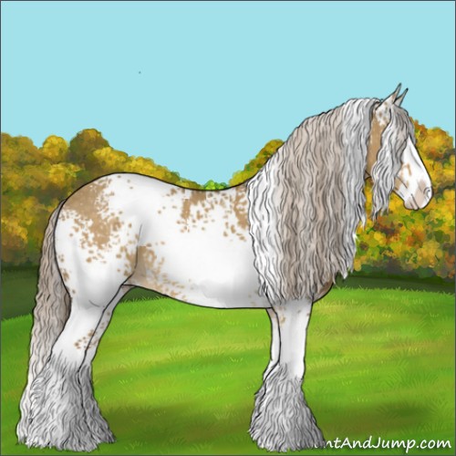 Horse Color:White Spotted Chocolate Palomino Dun Splash 