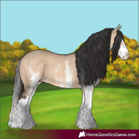 Horse Color:White Spotted Bay Dun Splash 