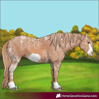 Horse Color:Chestnut Ice Frame