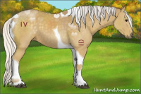 Horse Color:Chocolate Silver Smoky Black Tobiano 