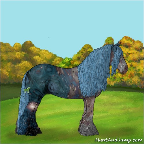 Horse Color:ERROR: UNKNOWN ANOMALY