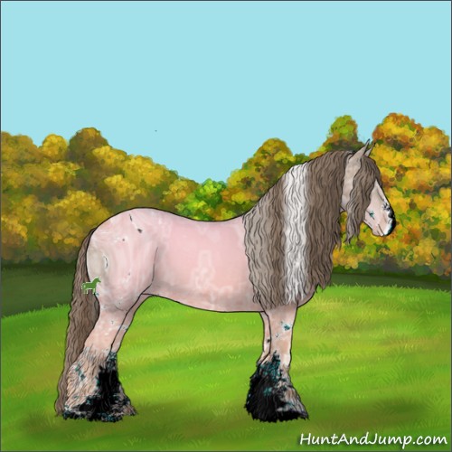 Horse Color:ERROR: UNKNOWN ANOMALY