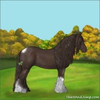 Horse Color:Liver Chestnut Sabino Tobiano 