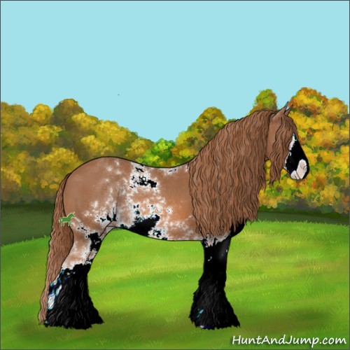 Horse Color:Chestnut Sabino