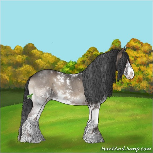 Horse Color:Blue Onyx Sabino