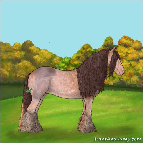 Horse Color:ERROR: UNKNOWN ANOMALY