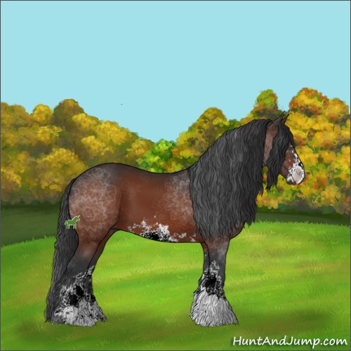 Horse Color:Brown Sabino